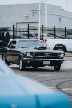 American Muscle - Mustang, Corvette, Challenger